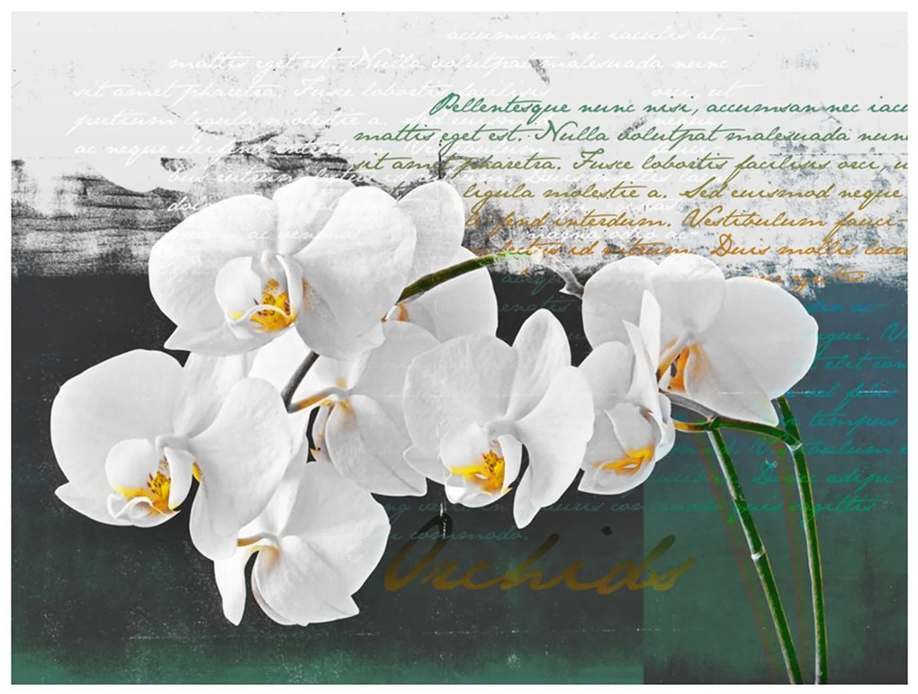 Φωτοταπετσαρία - Orchid - poet's inspiration 200x154