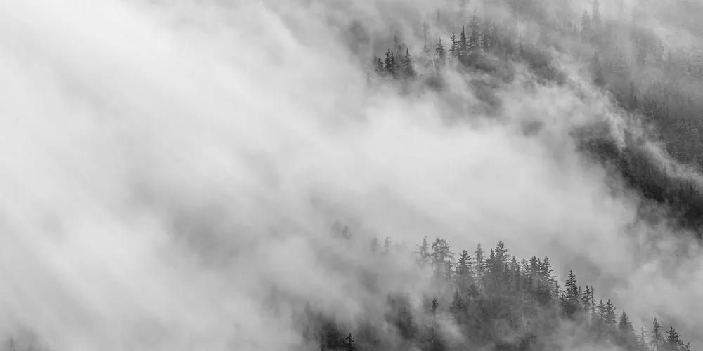 Εικόνα ασπρόμαυρο ομιχλώδες δάσος - 120x60