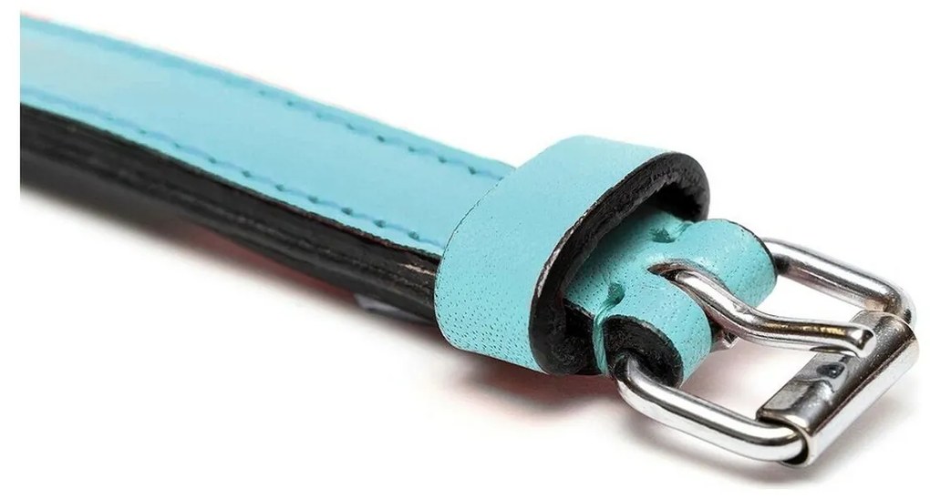 Κολλάρο Σκύλου Gloria Γεμισμένο Μπλε (50 x 2,5 cm)