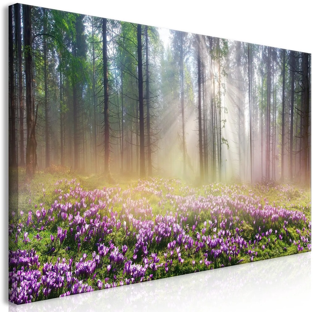 Πίνακας - Purple Meadow (1 Part) Wide 120x60