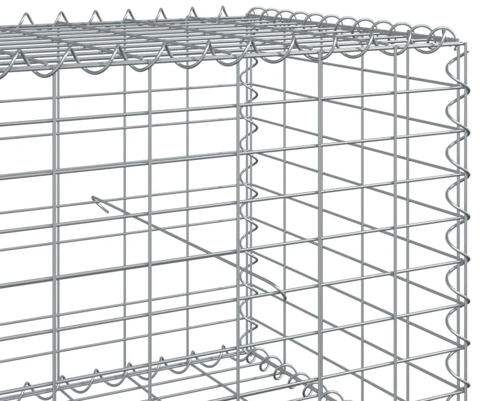 vidaXL Συρματοκιβώτιο με Κάλυμμα 500x100x50εκ. από Γαλβανισμένο Χάλυβα