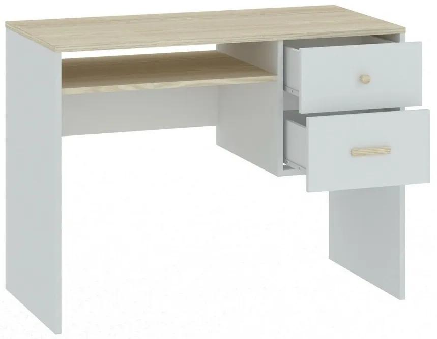 Τραπέζι γραφείου Bristol E106, Με συρτάρια, Αριθμός συρταριών: 2, 76x100x50cm, 27 kg, Ακακία, Άσπρο | Epipla1.gr