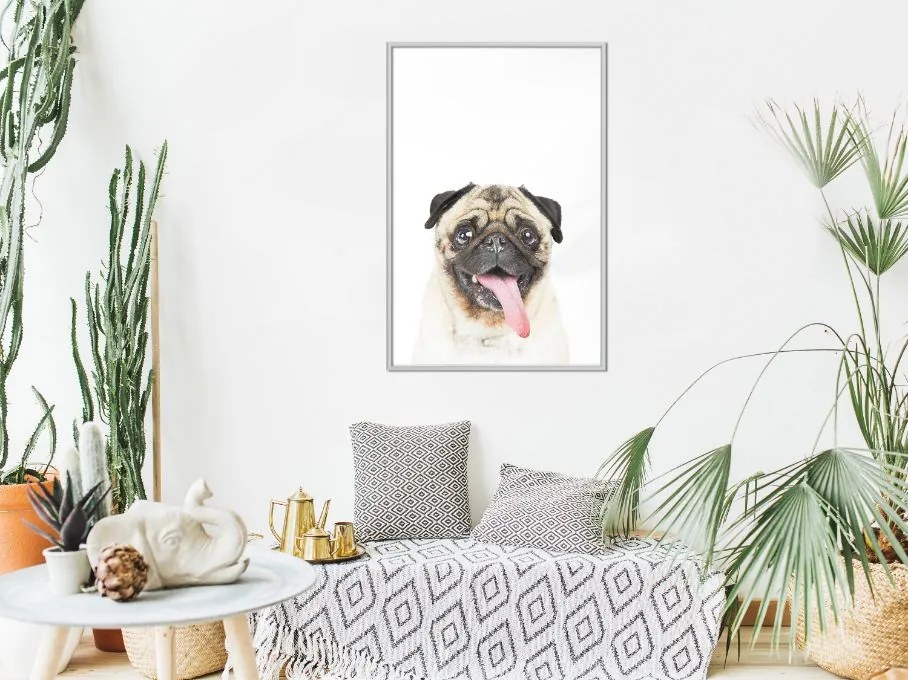 Αφίσα - Funny Pug - 20x30 - Χρυσό - Με πασπαρτού