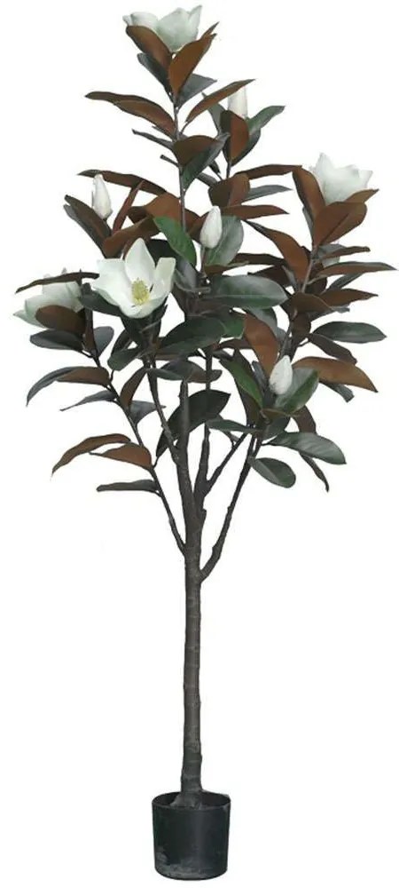 Τεχνητό Δέντρο Mangola I 316-000027 155cm Multi-White Inart Polypropylene