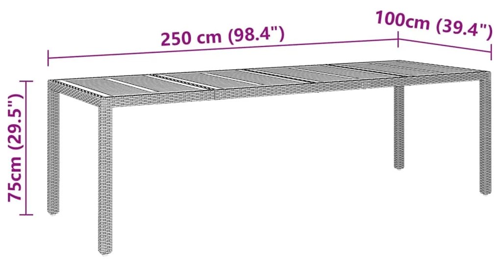 vidaXL Τραπέζι Κήπου Γκρι 250x100x75 εκ. Συνθετικό Ρατάν/Μασίφ Ακακία