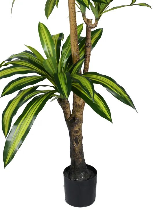 Διακοσμητικό φυτό Dracaena I σε γλάστρα Inart  πράσινο pp Υ170εκ