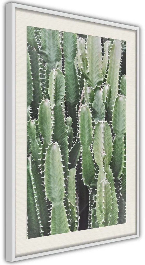 Αφίσα - Cactus Plantation - 20x30 - Χρυσό - Χωρίς πασπαρτού