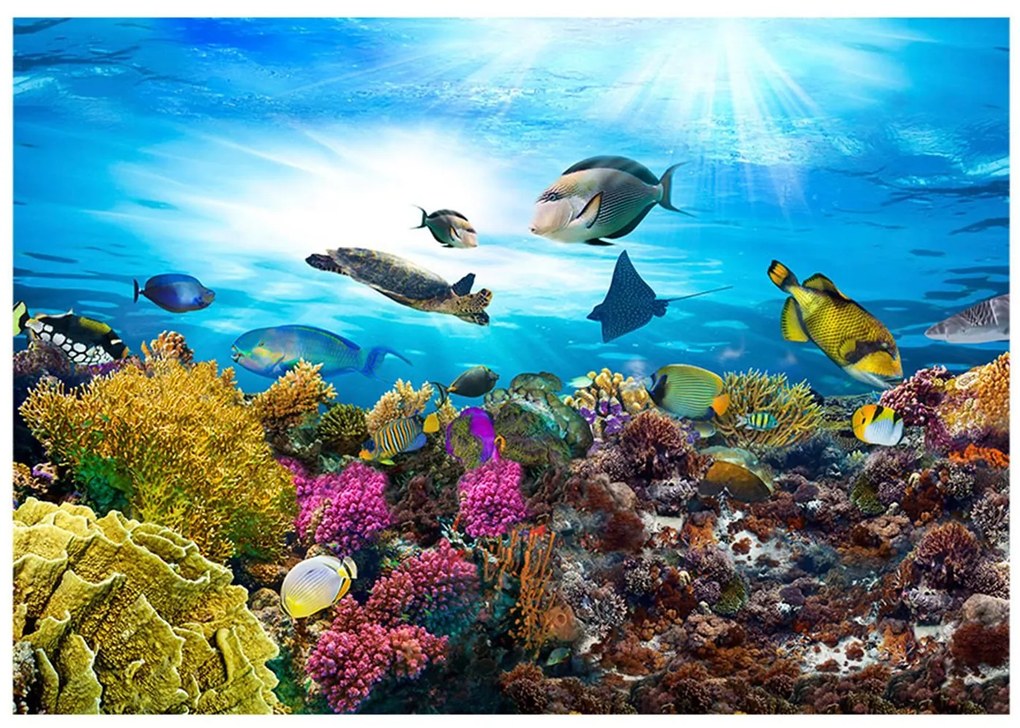 Φωτοταπετσαρία - Coral reef 350x245