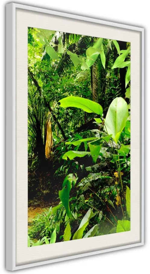 Αφίσα - In the Rainforest - 20x30 - Χρυσό - Χωρίς πασπαρτού