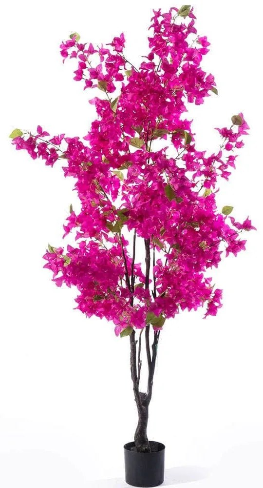 Τεχνητό Δέντρο Βουκαμβίλια Spectabilis 5601-6 75x75x170cm Fuchsia Supergreens Πολυαιθυλένιο,Ύφασμα