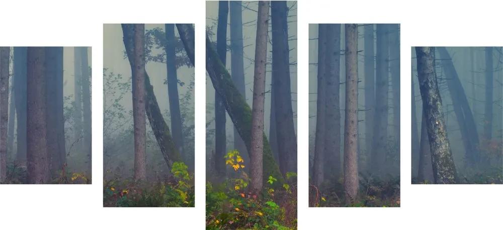 Εικόνα 5 τμημάτων μυστηριώδες δάσος - 100x50