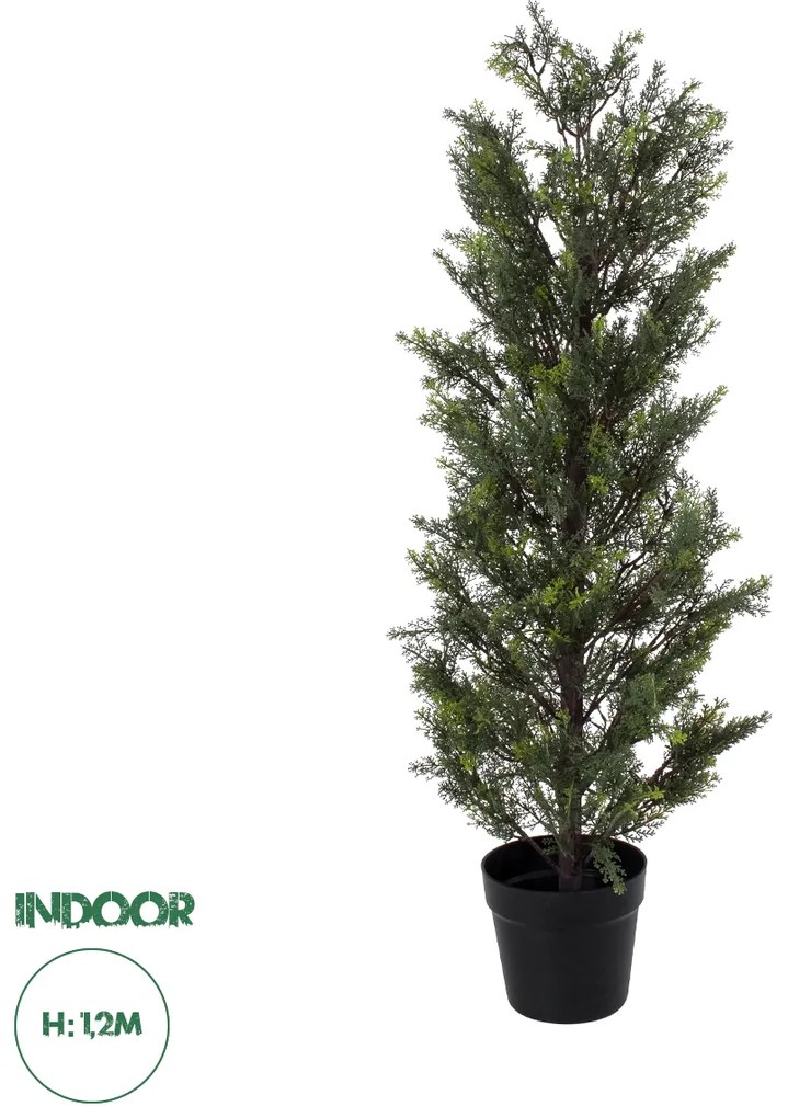 20151 GloboStar®  Artificial Garden LEMON CYPRESS 20151 Τεχνητό Διακοσμητικό Φυτό Λεμονόκυπάρισσο Υ120cm