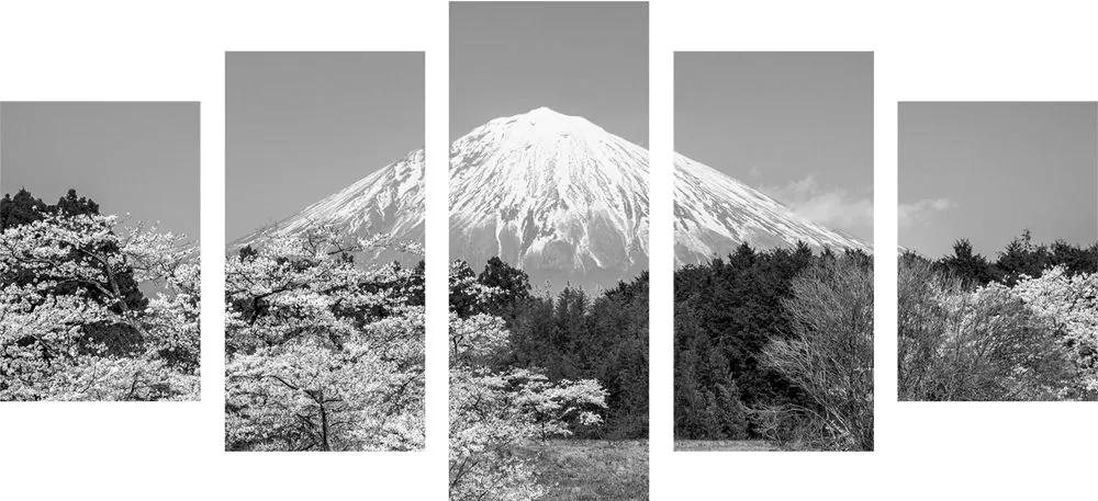 Εικόνα 5 τμημάτων hora Fuji σε ασπρόμαυρο - 200x100