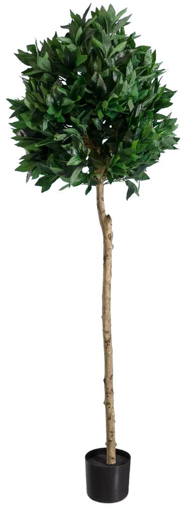 GloboStar® Artificial Garden LAUREL 20085 Τεχνητό Διακοσμητικό Φυτό Δάφνη Υ150cm