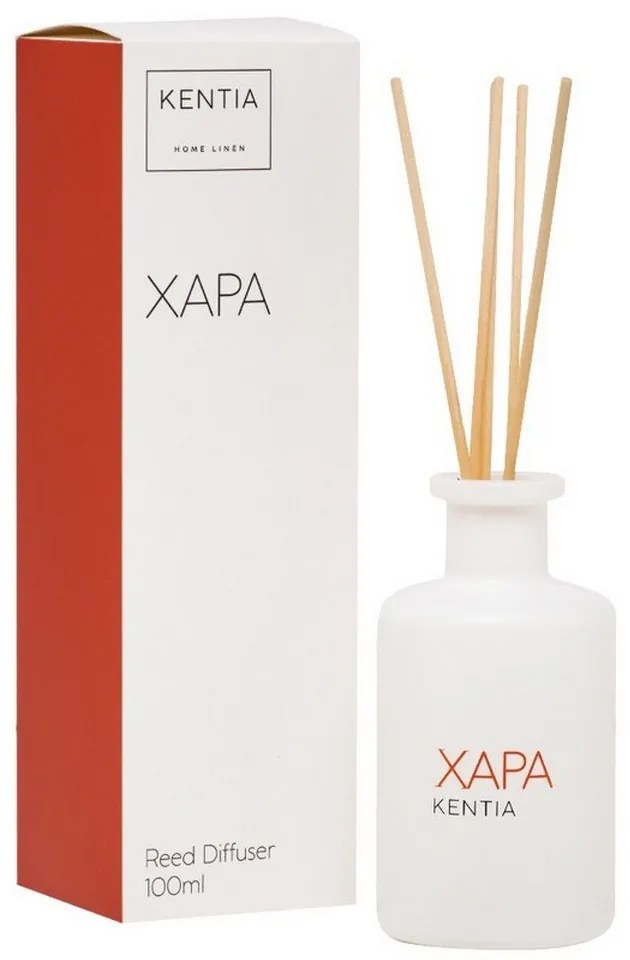 Αρωματικό Χώρου Με Sticks Mood 25 Χαρά 100ml Neon Block Kentia Glass