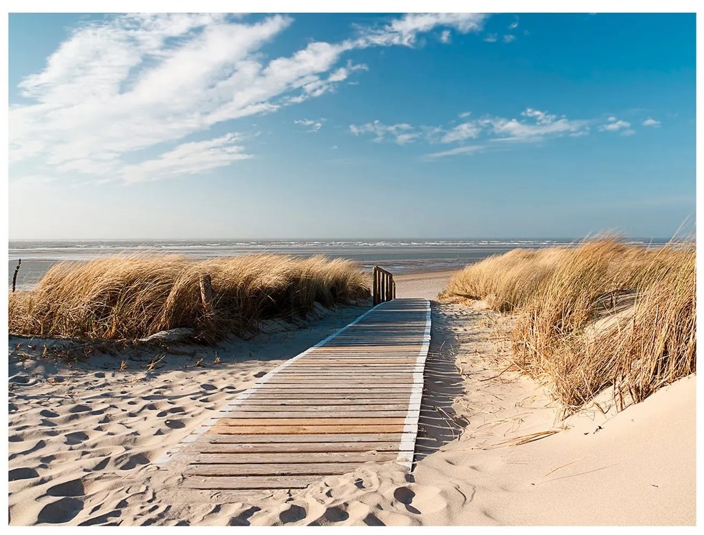 Φωτοταπετσαρία - North Sea beach, Langeoog 300x231