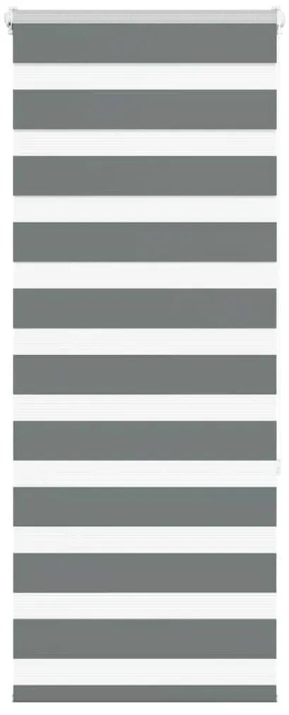 vidaXL Ζέβρα τυφλή Σκούρο Γκρι Πλάτος υφάσματος 55,9 εκ. Πολυεστέρας