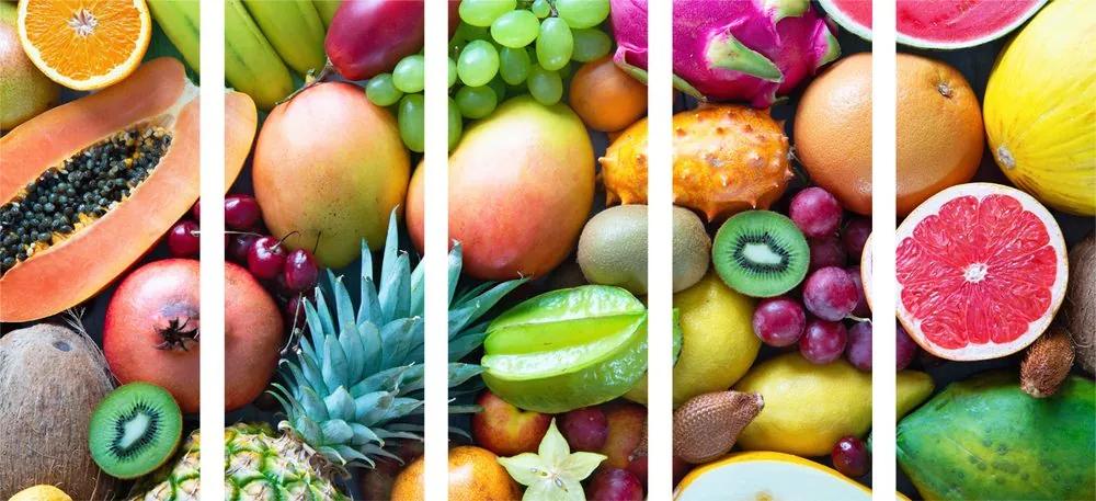 Εικόνα 5 τμημάτων τροπικά φρούτα