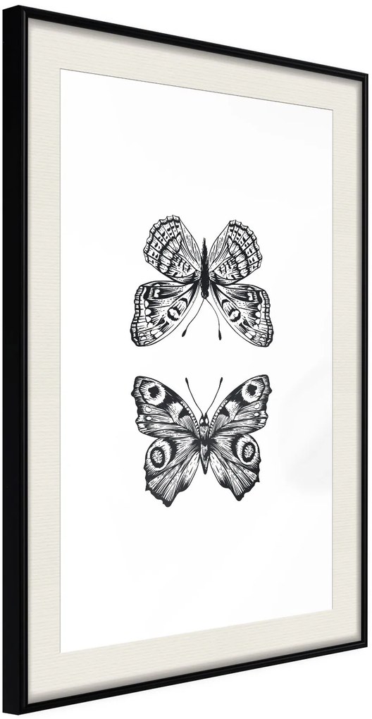 Αφίσα - Butterfly Collection I - 20x30 - Μαύρο - Με πασπαρτού