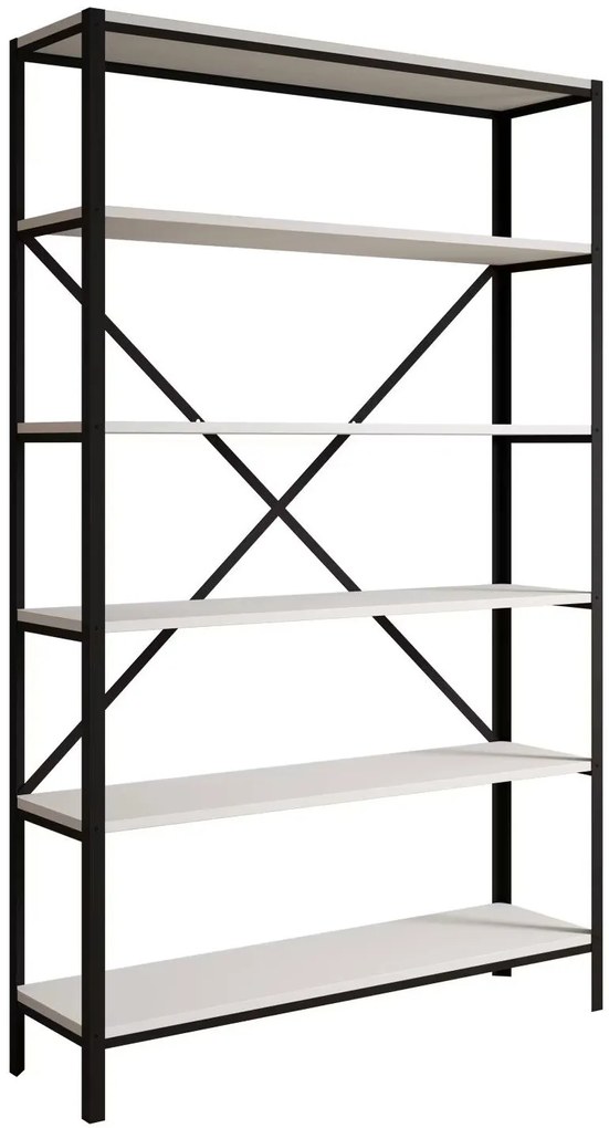 Βιβλιοθήκη Renev II-Leuko