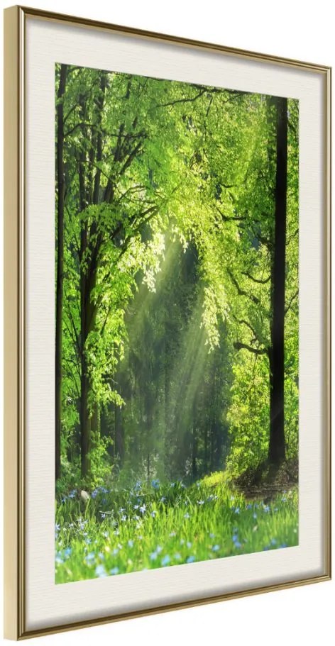 Αφίσα - Forest Path - 40x60 - Χρυσό - Με πασπαρτού