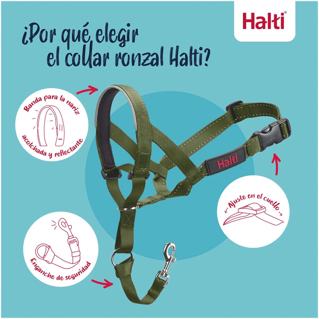 Ρύγχος Company of Animals FOREST Πράσινο 2