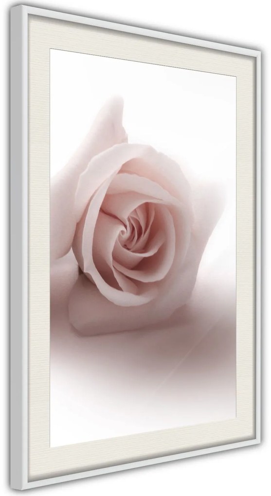 Αφίσα - Subtle Flower - 40x60 - Χρυσό - Χωρίς πασπαρτού