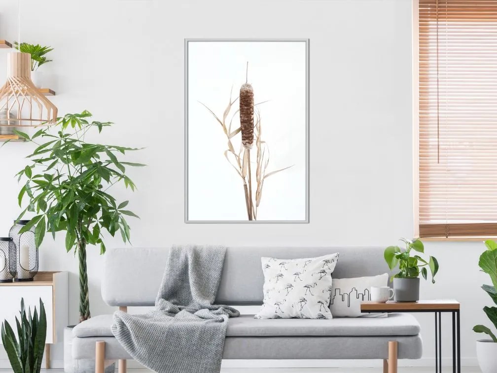 Αφίσα - Typha - 20x30 - Χρυσό - Χωρίς πασπαρτού