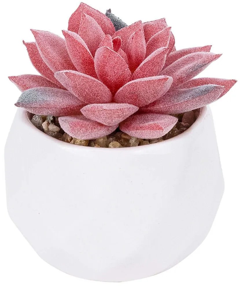 Τεχνητό Φυτό Σε Κασπώ Sedeveria 20989 Φ6,5x8cm Pink-White GloboStar Πηλός,Πολυαιθυλένιο