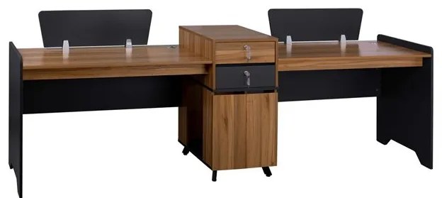 ΕΠΑΓΓΕΛΜΑΤΙΚΟΣ ΣΤΑΘΜΟΣ ΕΡΓΑΣΙΑΣ SUPREME HM2350 2 ΑΤΟΜΩΝ 289x60x100Υ εκ.