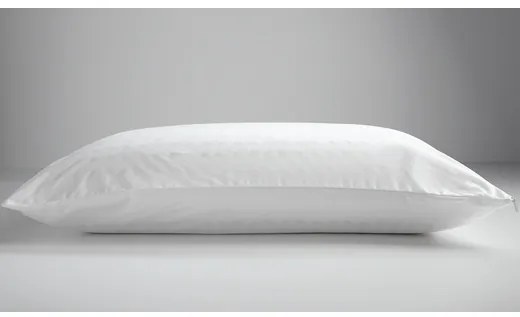 LATEX STANDARD ΜΑΞΙΛΑΡΙ 50Χ70