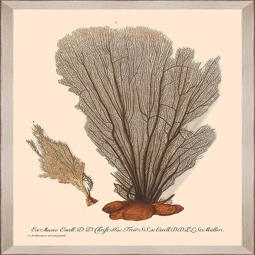 Κάδρο Deliciae Naturae I Fa13353 35X50Cm Grey-Beige Mindthegap Τετράγωνοι Wood