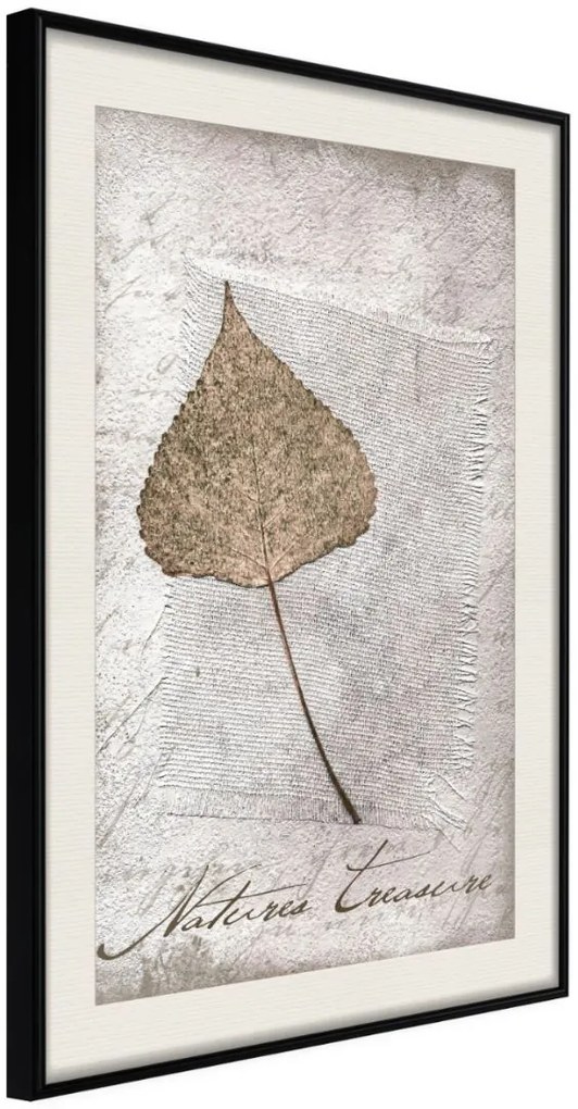 Αφίσα - Dried Leaf - 20x30 - Μαύρο - Με πασπαρτού