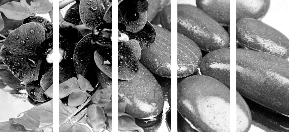 Εικόνα 5 τμημάτων ανθισμένης ορχιδέας και πέτρες ευεξίας σε μαύρο & άσπρο - 200x100