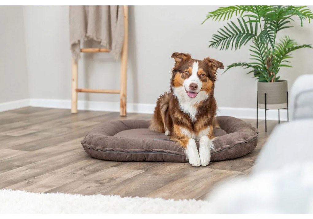 Μαξιλάρι για Σκύλο Trixie Vital Lennox Καφέ 70 x 55 cm