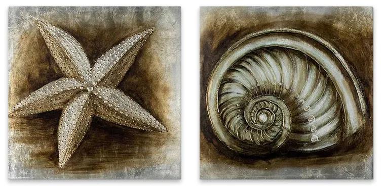 Πίνακες σε καμβά "Starfish - Shell" Megapap 2 τμχ. ψηφιακής εκτύπωσης 103x50x3εκ.