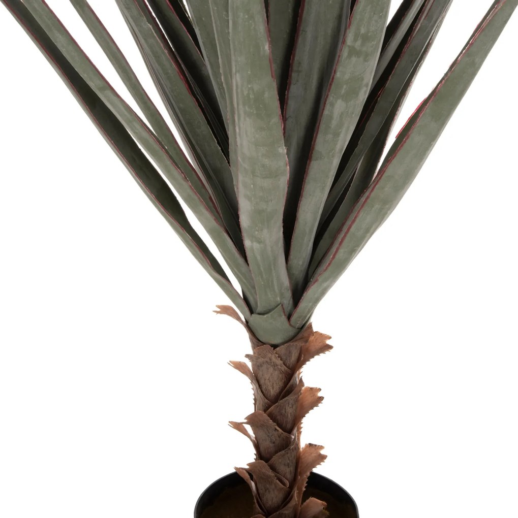 ΔΙΑΚΟΣΜΗΤΙΚΟ ΣΥΝΘΕΤΙΚΟ ΦΥΤΟ HM7987 SISAL AGAVE ΣΕ ΓΛΑΣΤΡΑ 120Υεκ. - 0419642 - HM7987