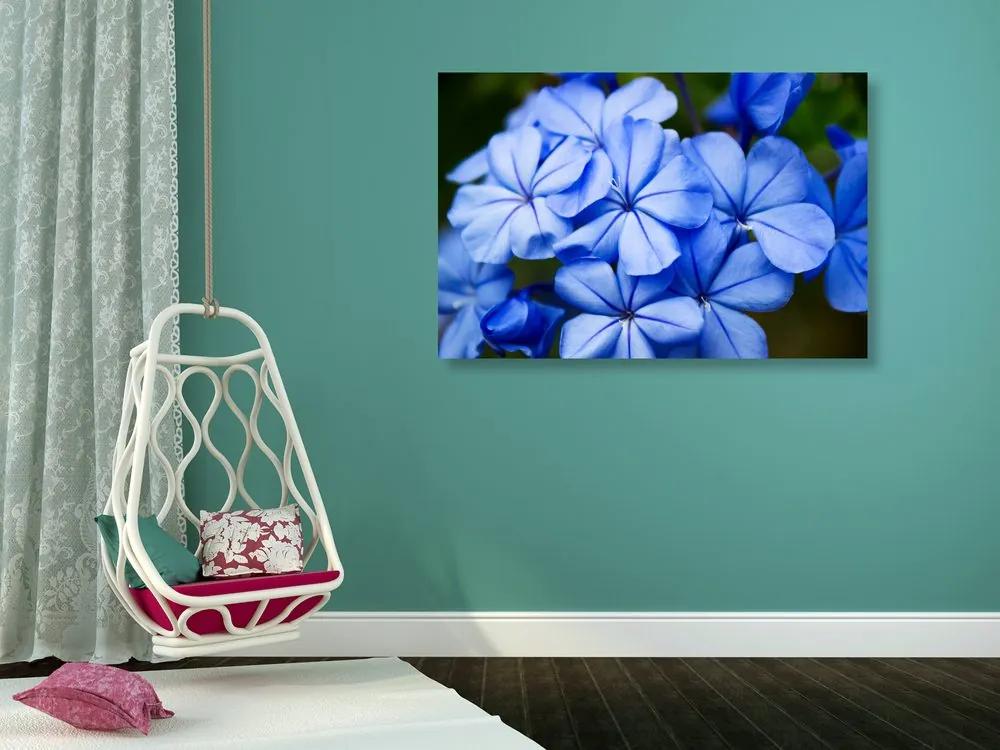 Εικόνα με άγρια ​​μπλε λουλούδια - 90x60