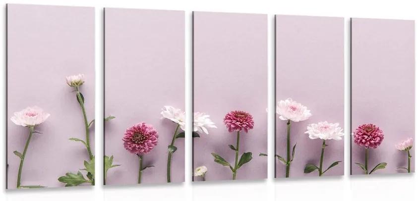 Σύνθεση εικόνας 5 μερών από ροζ χρυσάνθεμα - 100x50