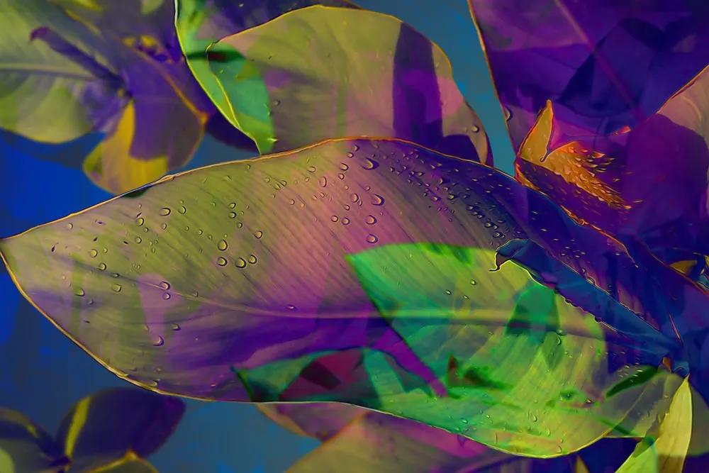 Εικόνα χρωματιστά φύλλα - 90x60