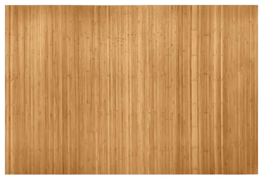 vidaXL Διαχωριστικό Δωματίου σε Φυσικό Χρώμα 250 x 165 εκ. Μπαμπού