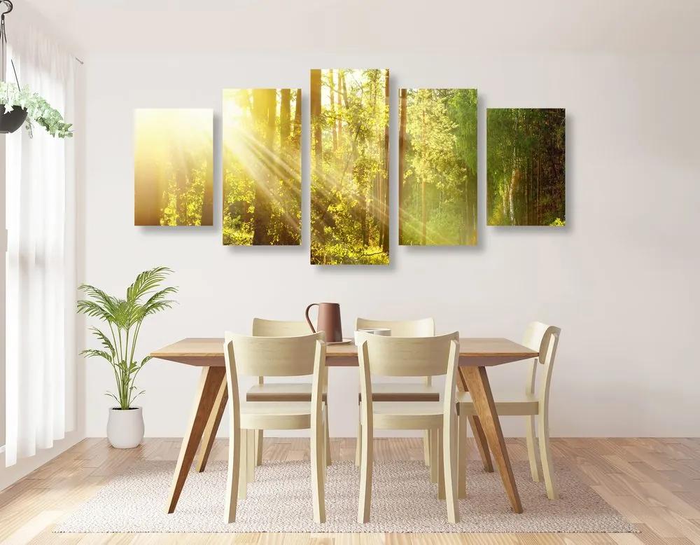 Εικόνα 5 μερών ακτίνες του ήλιου στο δάσος - 100x50