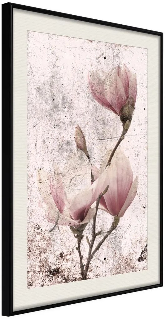 Αφίσα - Queen of Spring Flowers II - 30x45 - Μαύρο - Με πασπαρτού