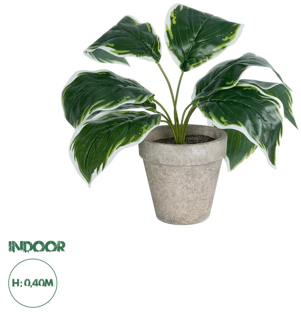 GloboStar® Artificial Garden WHITE HOSTA 20900 Διακοσμητικό Φυτό Λευκή  Χόστα Υ40cm