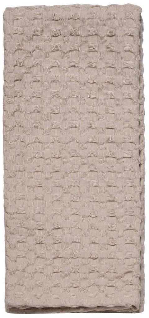 ΠΕΤΣΕΤΑ ΚΟΥΖΙΝΑΣ 40x60cm KENTIA - LAVARE 12