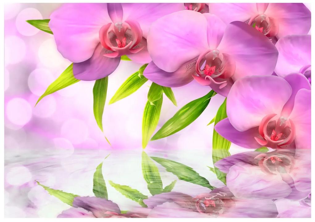 Φωτοταπετσαρία - Orchids in lilac colour 200x140