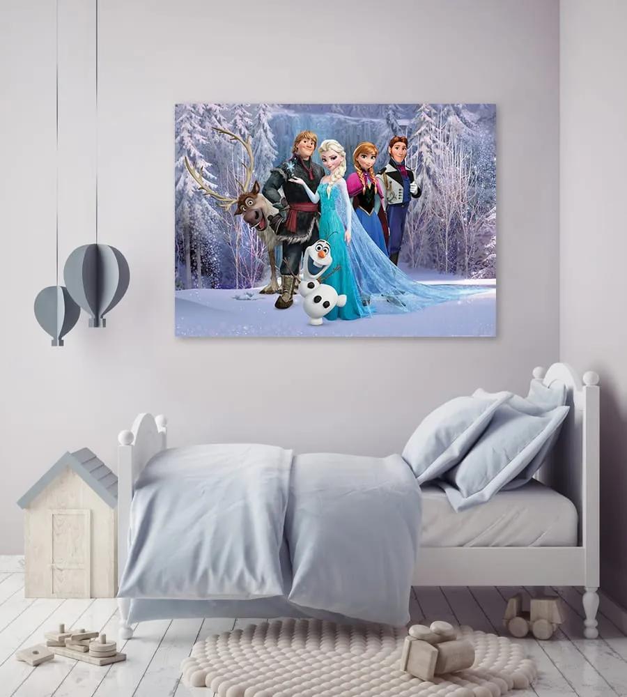 Παιδικός πίνακας σε καμβά Frozen KNV0561 30cm x 40cm