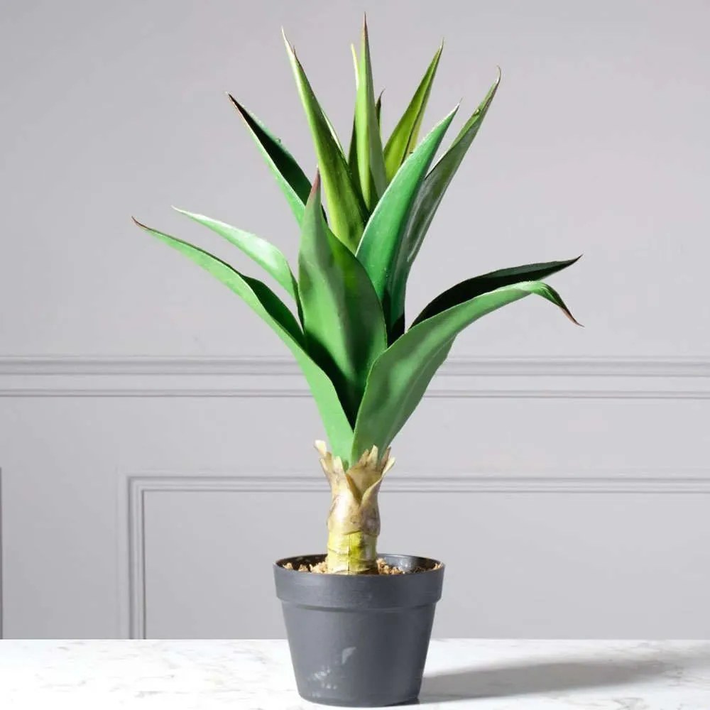 Τεχνητό Φυτό Αγαύη Agave 7350-6 50x50x66cm Green Supergreens Polyethylene,Fabric