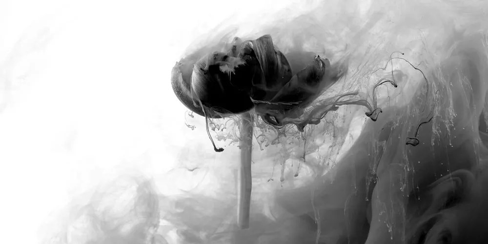 Εικόνα ενός ενδιαφέροντος λουλουδιού σε ασπρόμαυρο - 120x60