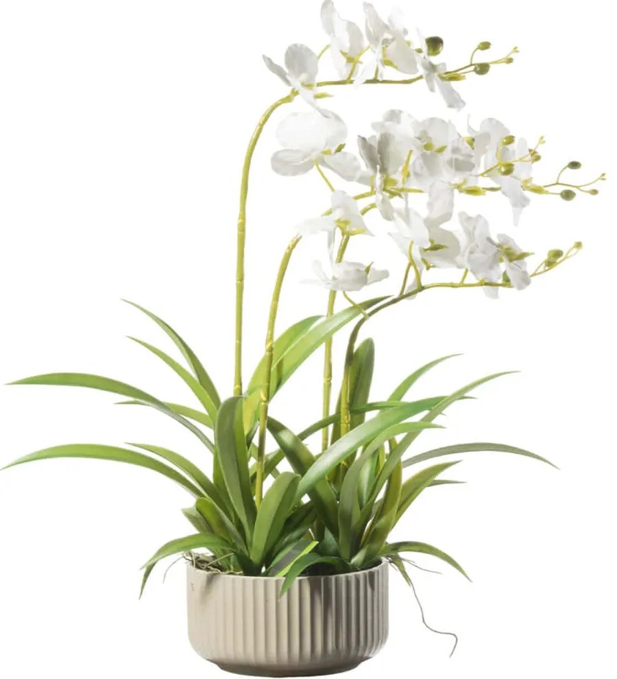 Τεχνητό Φυτό Ορχιδέα Phalaenopsis 5401-6 60cm White Supergreens Ύφασμα,Πλαστικό